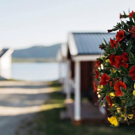 Skoganvarre Villmark Luaran gambar